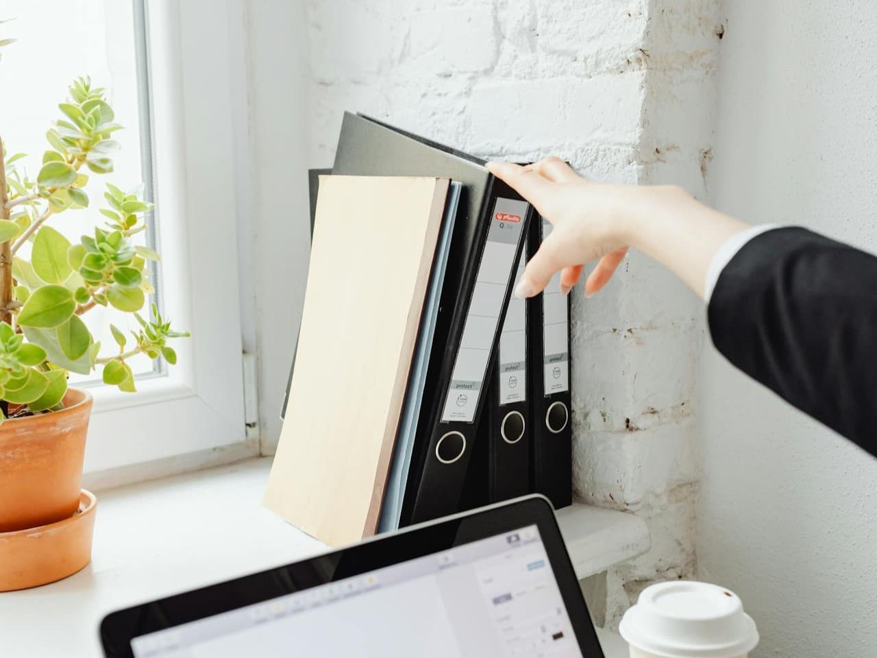 Company Formation Services